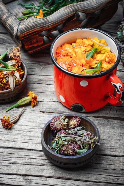 garnek jednogarnkowy